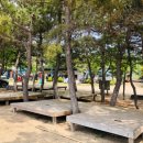 파라다이스캠핑장 이미지