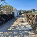 사계초등학교 이미지