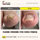 레푸스 망우점 이미지