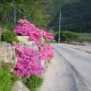 송림펜션 이미지