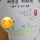 거북미니슈퍼