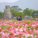 경주축구공원주차장 이미지