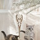 장화신은 고양이 & 강아지 미용 이미지