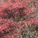 생명예찬1 이미지