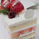 뚜레쥬르제과 | [일기] 2025 연말 보내기 Part 2 - 쇼토 딸기케이크, 민영활어공장 1인회, 뚜레쥬르 딸기케이크