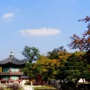 향원정 - 마포구 양화로7길 28 | 향원정