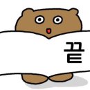 둔산중로-22 네이버블로그
