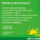 썬스팜