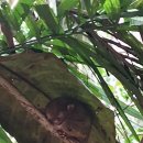 일정 | 필리핀 보홀 자유여행 데이투어 일정 후기