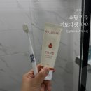 키토자생 치약 내돈내산 후기