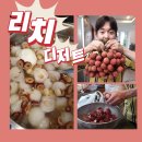 리치빙수생과일