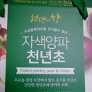 굿데이영농조합 이미지