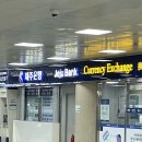 중동카플러스 | 2026 jeju