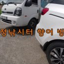 오늘은향어 이미지