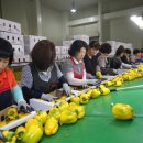 운봉농협 농산물산지유통센터 이미지