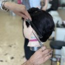 개미용실 이미지