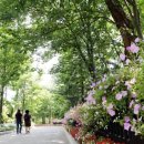 농업농촌테마마을 이미지