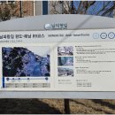 완도대교호스텔