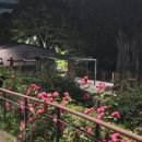 종달새어린이공원 이미지