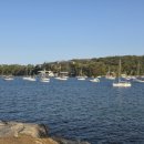 [시드니일상] 1월 둘째 주 (아나필락시스 회복, Balmoral Beach, 헬리코박터 검사, 대상포진...