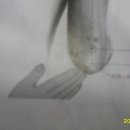 상방약국 이미지