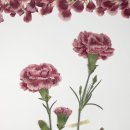 글꽃누르미디자인연구소 네이버블로그
