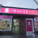 시현펫살롱 이미지