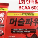 머슬본