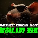 멍청하니까 좌파지 - 이 노래를 멍청한 연예인들과 좌파들에게 바칩니다 이미지