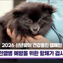 서원종합동물병원