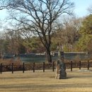 인종목장 | 고양 서삼릉 효릉 및 태실 관람 예약 주차 팁 (초등 역사 체험)