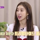 여우들의수다