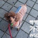 이편한도그 네이버블로그