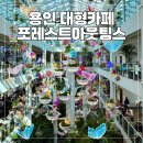 카페봄 | 용인 포레스트아웃팅스 4층 대형카페 봄 테마 후기