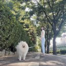 포세이돈노래타운(중동점) 이미지