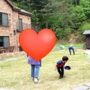 수류화개원 이미지