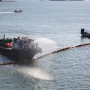 하동물양장 이미지