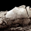 (주)옥수 이미지