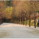 고산골 4 이미지