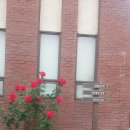 용산신학교 이미지