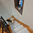 이마트24 울산화암점 | 내돈내산![울산,경남]🐶대형견 가능👌! 애견동반 가성비 펜션,풀빌라 메르시 이용후기/강아지 운동장...
