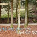 대한카페 네이버블로그