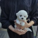 쇼핑할때 여기어때 네이버블로그