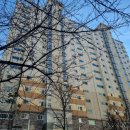 용인자매약국 이미지