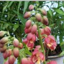 김창영농장 이미지