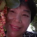명산농장 네이버블로그