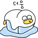 슈가허니 이미지