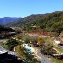 비학산자연휴양림 이미지