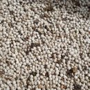 열려라 참깨 이미지