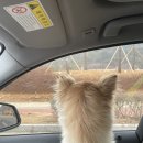 내포 홍성 승우빌딩 이미지